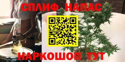 прущие грибы Заводоуковск