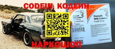 прущие грибы Заводоуковск