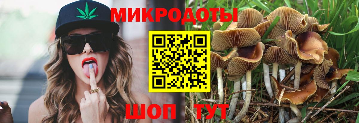 как найти наркотики  Галлюциногенные грибы Psilocybine cubensis  Вход с VPN  Кудымкар  Псилоцибиновые грибы мухоморы 